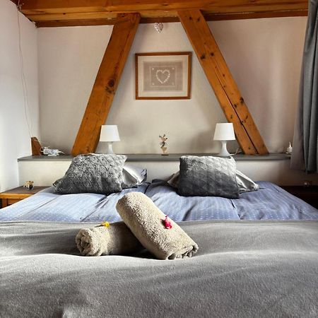 Central Hostel Châtel Dış mekan fotoğraf