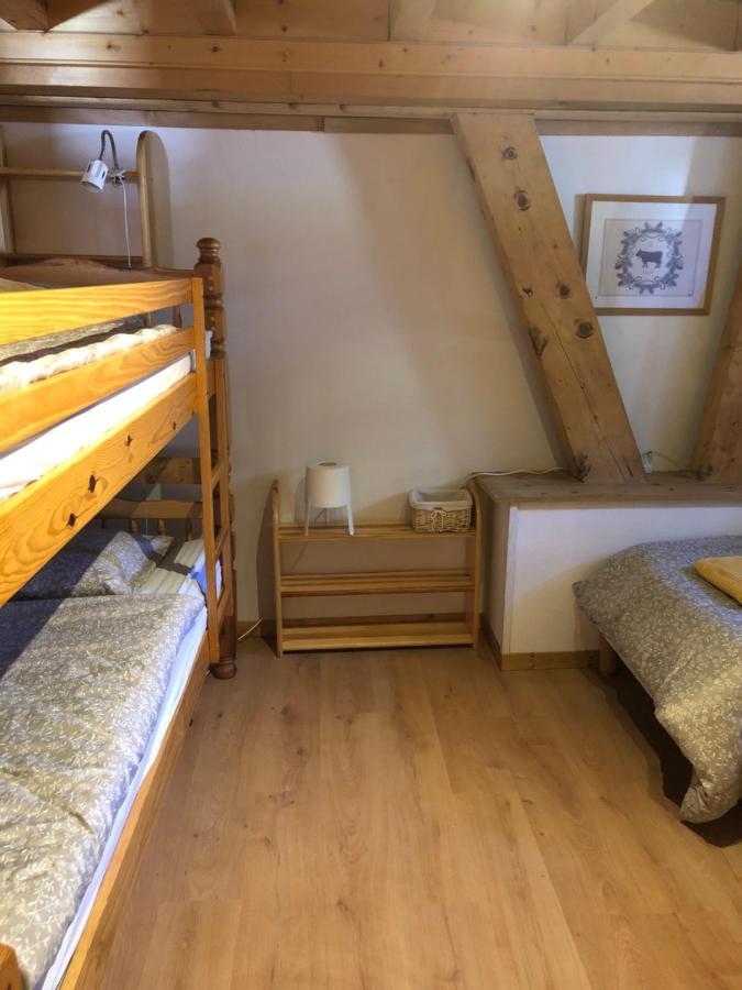 Central Hostel Châtel Dış mekan fotoğraf