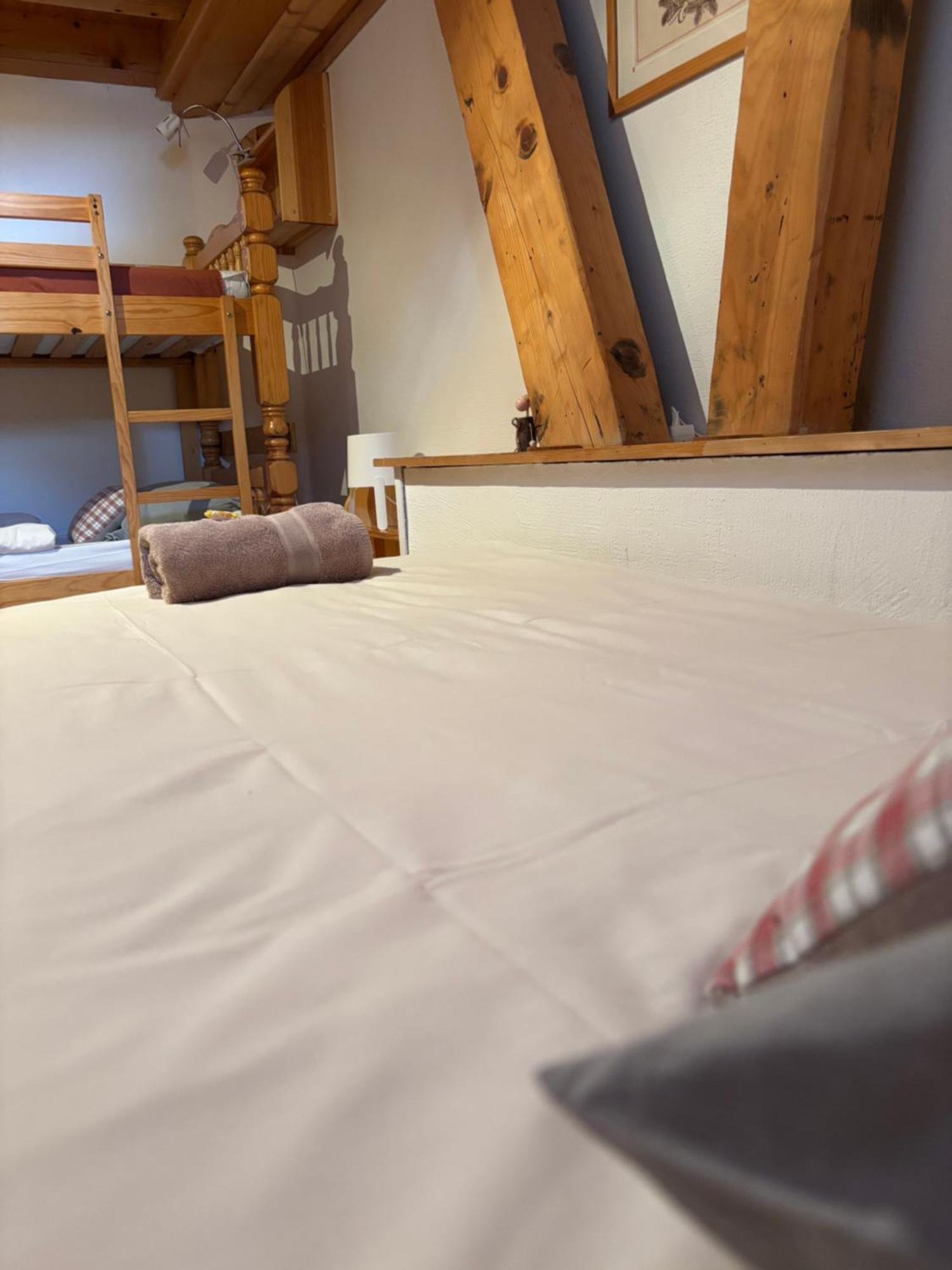 Central Hostel Châtel Dış mekan fotoğraf